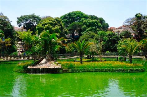simiportal similares|Demand & Supply Planning Coordinator, São Caetano do Sul, .